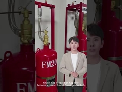 औद्योगिक हेप्टाफ्लोरोप्रोपेन अग्निशमन Fm200 कैबिनेट प्रकार